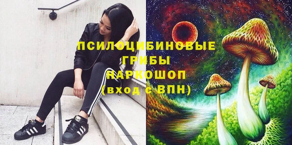 мдма Бородино