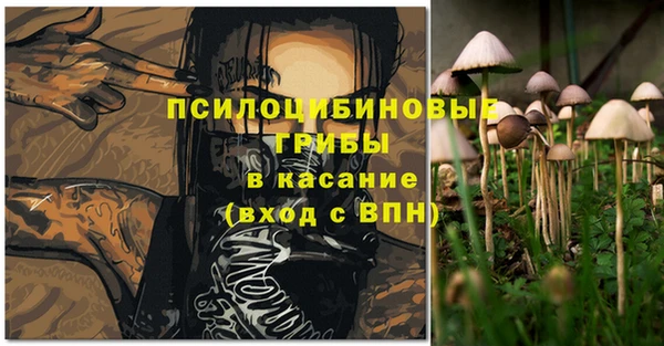 мдма Бородино