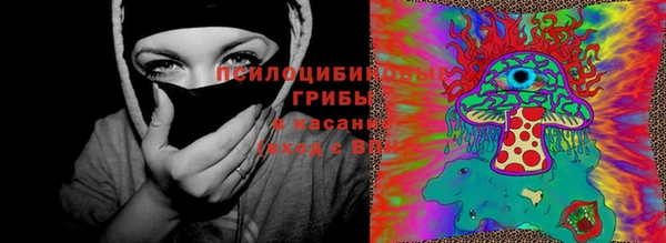 ГАЛЛЮЦИНОГЕННЫЕ ГРИБЫ Бугульма