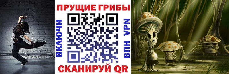 Псилоцибиновые грибы ЛСД  купить закладку  Кириллов 